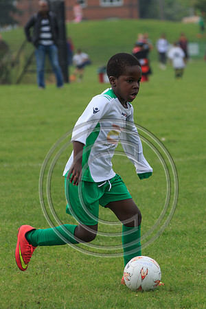 Eldon-2014 559