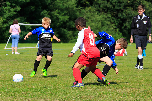 130629 Sandhurst Wanderers U8 at BTJ U9 Trny (324)