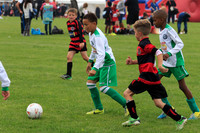 Eldon-2014 479
