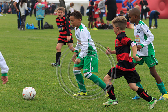 Eldon-2014 479
