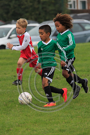 Eldon-2014 170