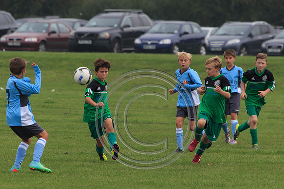 Eldon-2014 460