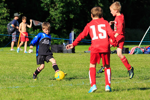 130629 Sandhurst Wanderers U8 at BTJ U9 Trny (545)