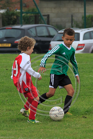 Eldon-2014 171