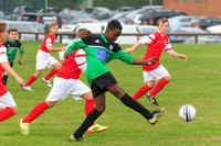 Eldon-2014 087