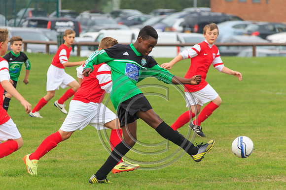 Eldon-2014 087