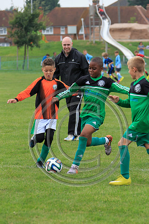 Eldon-2014 593