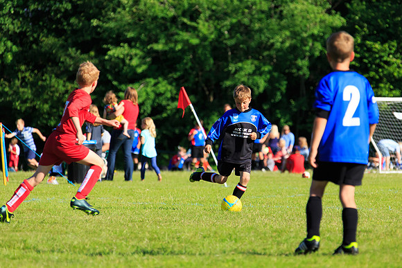130629 Sandhurst Wanderers U8 at BTJ U9 Trny (509)