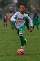Eldon-2014 336
