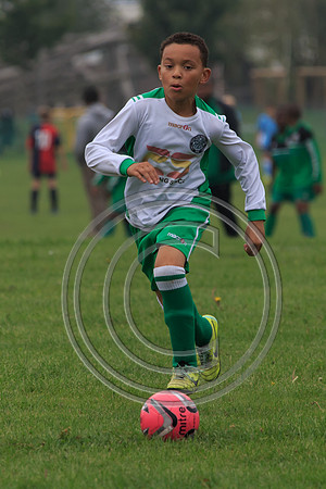 Eldon-2014 336