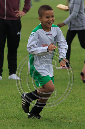 Eldon-2014 484