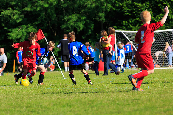 130629 Sandhurst Wanderers U8 at BTJ U9 Trny (505)