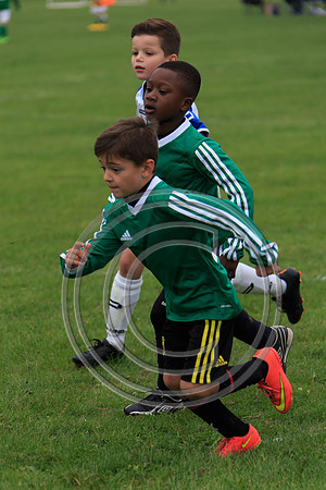 Eldon-2014 302