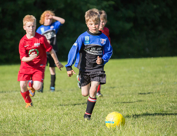 130629 Sandhurst Wanderers U8 at BTJ U9 Trny (553)