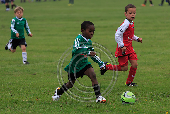 Eldon-2014 319