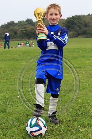 Eldon-2014 380