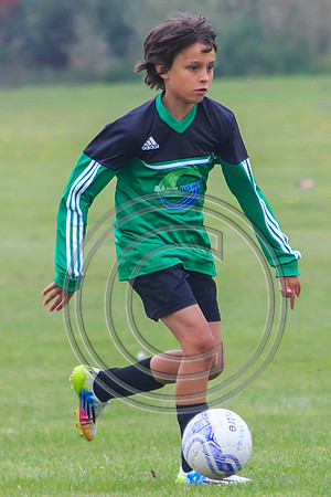 Eldon-2014 358
