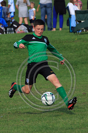 Eldon-2014 1133