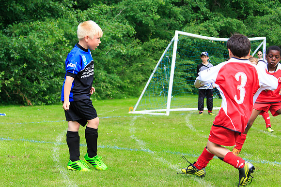 130629 Sandhurst Wanderers U8 at BTJ U9 Trny (67)