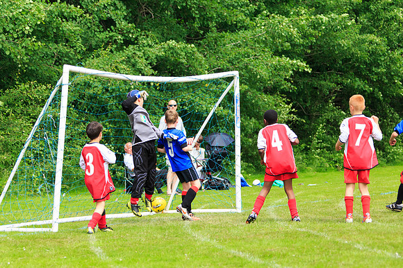 130629 Sandhurst Wanderers U8 at BTJ U9 Trny (76)