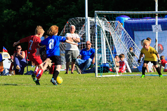 130629 Sandhurst Wanderers U8 at BTJ U9 Trny (493)