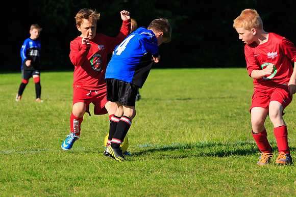 130629 Sandhurst Wanderers U8 at BTJ U9 Trny (555)