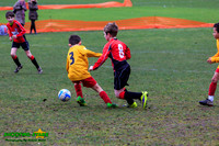 140223 B Cav U9 v Pinewood Pumas (4)