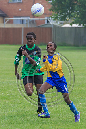 Eldon-2014 677