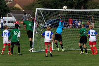Eldon-2014 1066