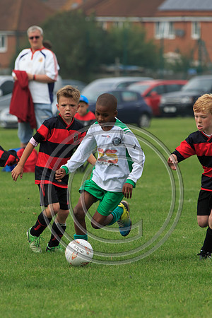 Eldon-2014 563