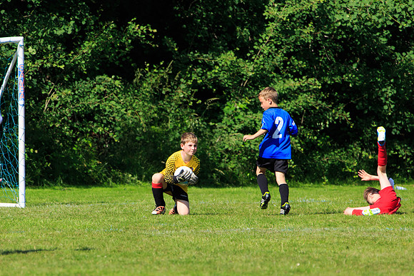 130629 Sandhurst Wanderers U8 at BTJ U9 Trny (283)