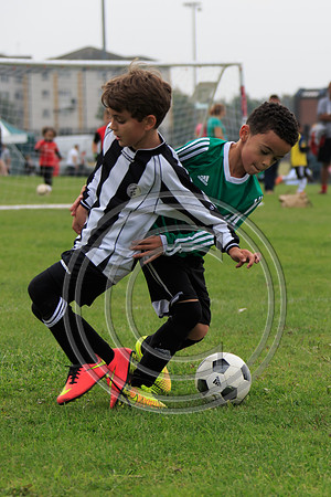 Eldon-2014 782