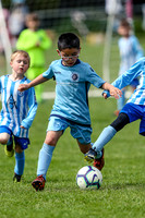 U7 Ardley @ Ardly 2019 Tournament