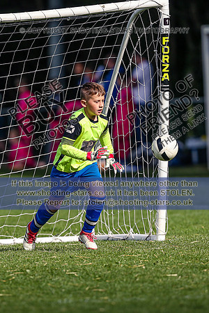 NG013961