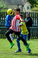 1DX_8953
