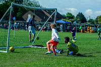 1DX_8364