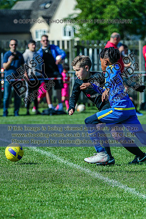 1DX_8455