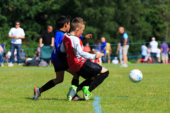 130629 Sandhurst Wanderers U8 at BTJ U9 Trny (287)