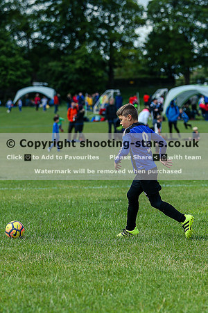 B19A7268