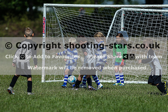 B19A8795