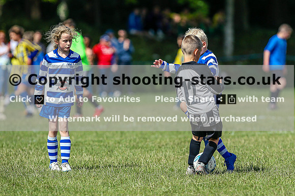 B19A8828
