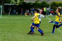 1DX_5490