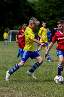 NG019902