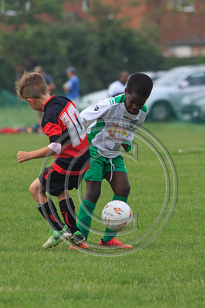 Eldon-2014 542
