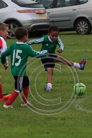 Eldon-2014 322