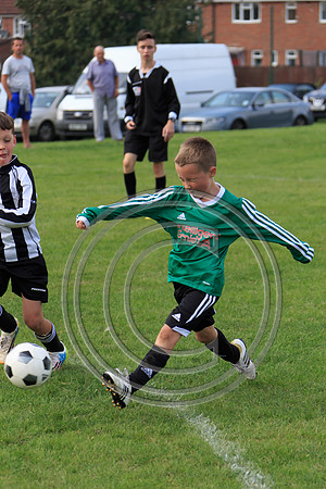 Eldon-2014 884