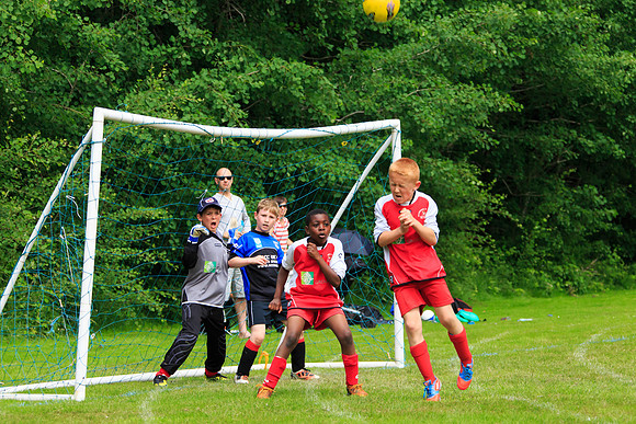 130629 Sandhurst Wanderers U8 at BTJ U9 Trny (62)