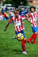 1DX_8781