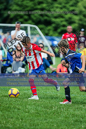 1DX_8782