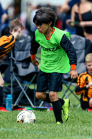 U8 Twickenham Tigers @ Eldon Celtic 2019 Summer Tourny
